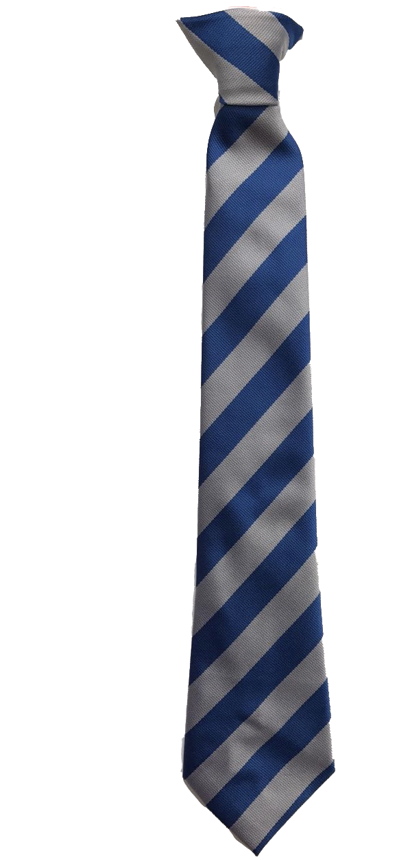 Les Beaucamps Tie Year 11