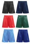 Shadow Stripe PE Shorts