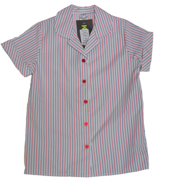 Striped Short Sleeve Blouse