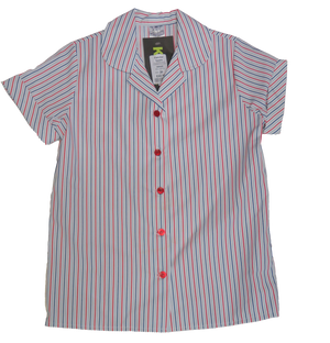 Striped Short Sleeve Blouse