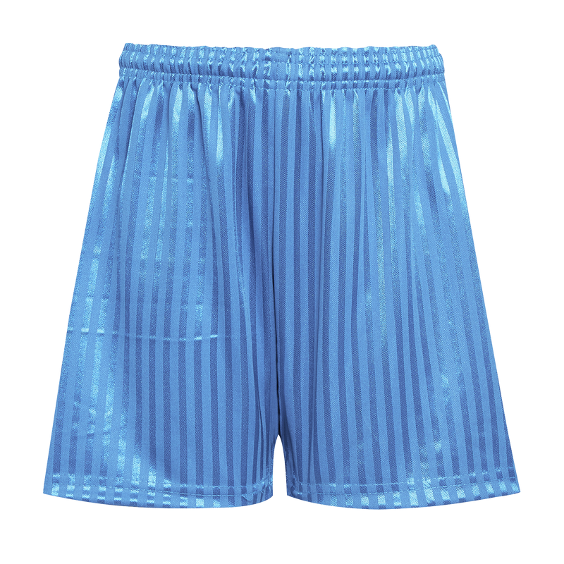 Sky Shadow Stripe Shorts