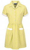 Ayr Button Front Corded Gingham Dress