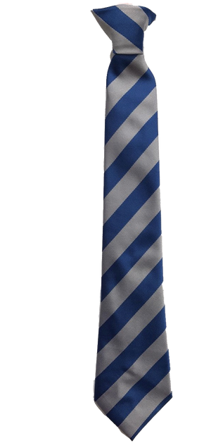 Les Beaucamps Tie Year 11