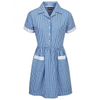 Ayr Button Front Corded Gingham Dress