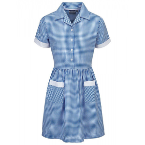 Ayr Button Front Corded Gingham Dress
